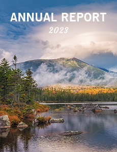 Annual Report 2023